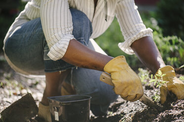 Low section of mature woman planting sapling in garden - CAVF48151