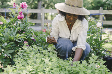 Ältere Frau hält eine Gartenschere und betrachtet Pflanzen im Garten - CAVF48153