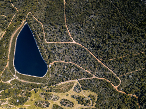 Kirstenbosch, Westkap, Südafrika, lizenzfreies Stockfoto