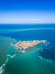 West Coast National Park, Western Cape, South Africa - DAWF00639