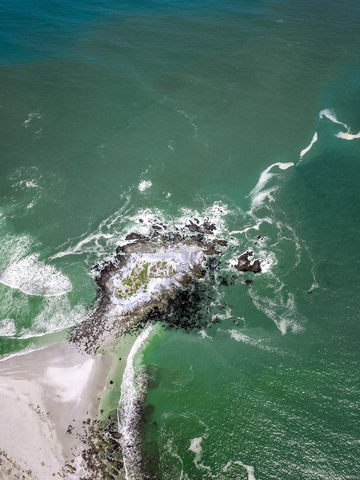 West Coast National Park, Westkap, Südafrika, lizenzfreies Stockfoto