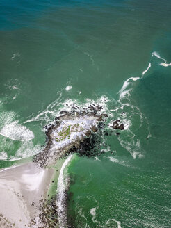 West Coast National Park, Westkap, Südafrika - DAWF00640