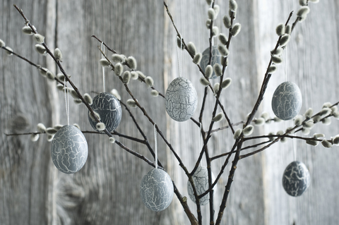 Hand-painted Easter eggs hanging from willow twigs stock photo