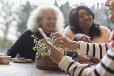 Lächelnde Freundinnen mit Smartphone im Café - CAIF20273