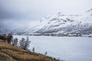Schneebedeckte Berge und Fjord, Austpollen, Hinnoya, Norwegen - CAIF20347