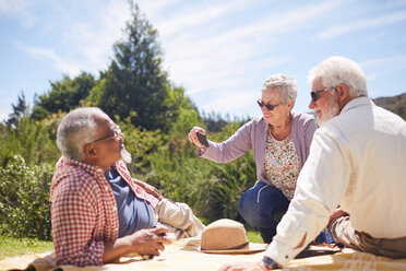 Aktive ältere Freunde mit Fotohandy, die ein Sommerpicknick genießen - CAIF20361