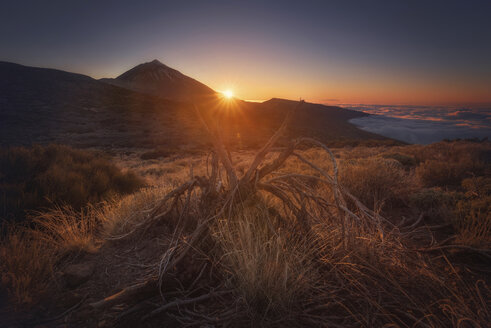 Spain, Canary Islands, Tenerife, Teide National Park at sunset - DHCF00185