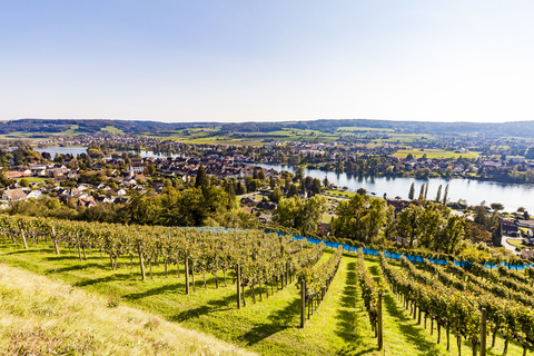 Schweiz, Kanton Schaffhausen, Stein am Rhein, Bodensee, Rhein, Stadtbild, lizenzfreies Stockfoto