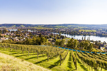 Schweiz, Kanton Schaffhausen, Stein am Rhein, Bodensee, Rhein, Stadtbild - WDF04601