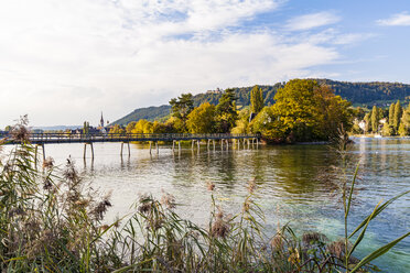 Schweiz, Thurgau, Bodensee, Rhein, Blick auf die Insel Werd, Steg - WDF04618