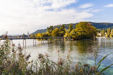 Switzerland, Thurgau, Lake Constance, Rhine river, View to Island Werd, footbridge - WDF04618