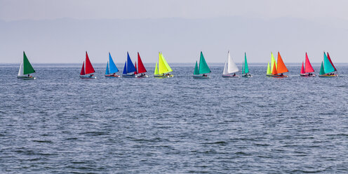 Schweiz, Thurgau, Arbon, Bodensee, Regatta, Panoramablick auf bunte Segelboote - WDF04620