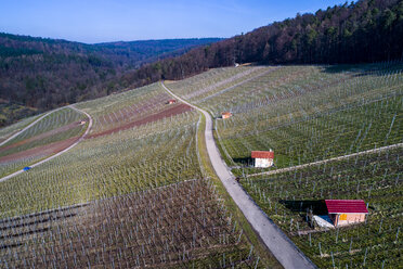 Deutschland, Baden-Württemberg, Remstal, Weinberge im Gundelsbachtal - STSF01507