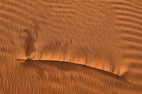 Vereinigte Arabische Emirate, Rub' al Khali, Wüstensand, Rippelspuren und getrocknete Grashalme, lizenzfreies Stockfoto