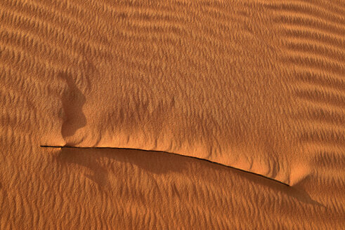 Vereinigte Arabische Emirate, Rub' al Khali, Wüstensand, Rippelspuren und getrocknete Grashalme - ESF01576