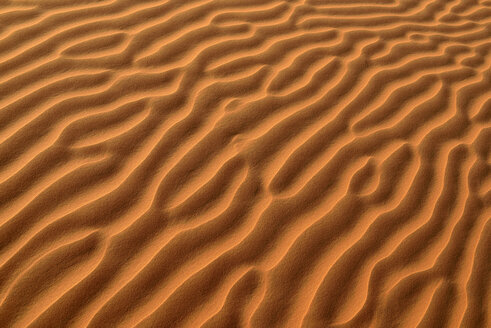 United Arab Emirates, Rub' al Khali, desert sand and ripple marks - ESF01581