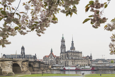 Deutschland, Sachsen, Dresden, Augustusbrücke, Dresdner Kathedrale, Elbufer, Mandelblüten - ASCF00851