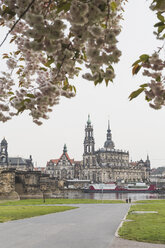 Deutschland, Sachsen, Dresden, Augustusbrücke, Dresdner Kathedrale, Elbufer, Mandelblüten - ASCF00852