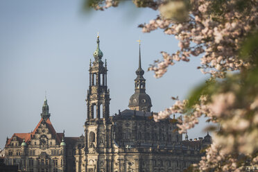 Germany, Saxony, Dresden, Dresden Cathedral and almond blossoms - ASCF00858