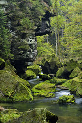 Tschechische Republik, Böhmische Schweiz, Ticha Souteska bei Hrensko, Fluss Kamnitz in der Edmundsklamm mit moosbewachsenen Sandsteinfelsen - RUEF01854