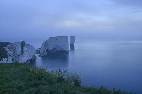 Großbritannien, England, Dorset, Jurassic Coast, Isle of Purbeck, Old Harry Rocks and fog, lizenzfreies Stockfoto