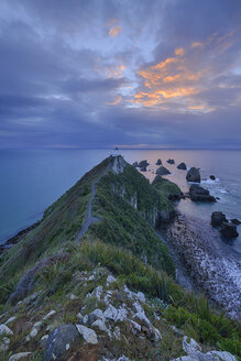 Neuseeland, Südinsel, Southern Scenic Route, Catlins, Nugget Point Lighthouse am Morgen - RUEF01875