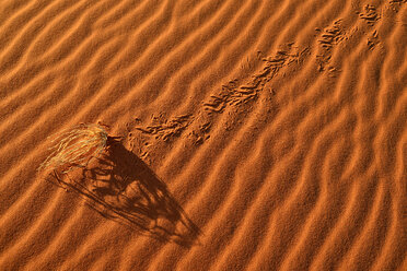 Algerien, Tassili n'Ajjer National Park, Sahara-Wüste, Sandwellen, getrocknetes Gras auf einer Sanddüne - ESF01592