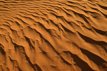 Africa, Algeria, Sahara, ripple marks, texture on a sanddune - ESF01607