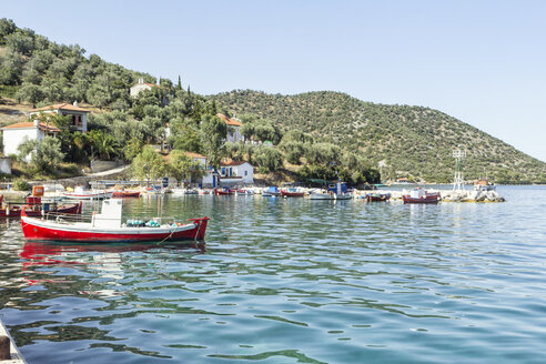 Griechenland, Pelion, Pagasetischer Golf, Kottes, Fischerboot im Hafen - MAMF00083