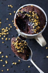 Spoon of chocolate cake with sugar granules - CSF29091