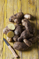 Kartoffeln 'Moor-Sieglinde' - CSF29160