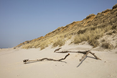 Deutschland, Schleswig-Holstein, Nordfriesische Inseln, Sylt, Strand bei Rotes Kliff - WIF03502