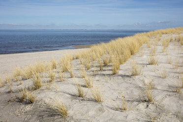 Germany, Schleswig-Holstein, North Frisian Islands, Sylt, List, dune and marram grass - WIF03506