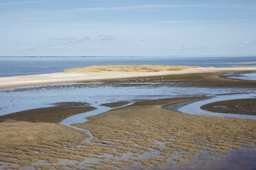 Deutschland, Schleswig-Holstein, Nordfriesland, Sylt, Nordsee, List, Nationalpark Schleswig-Holsteinisches Wattenmeer, Vogelschutzgebiet Uthoern - WIF03507