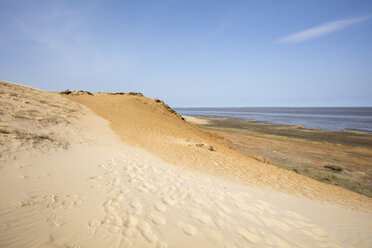 Deutschland, Schleswig-Holstein, Nordfriesische Inseln, Sylt, Morsum, Morsum-Kliff - WIF03513