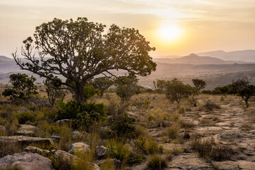 Afrika, Südafrika, Mpumalanga, Panorama Route, Blyde River Canyon Nature Reserve bei Sonnenuntergang - WEF00442