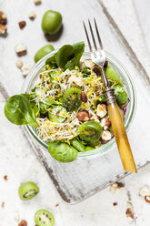 Quinoa salad with lamb's lettuce, cabbage, mini kiwi and hazelnuts - SBDF03563