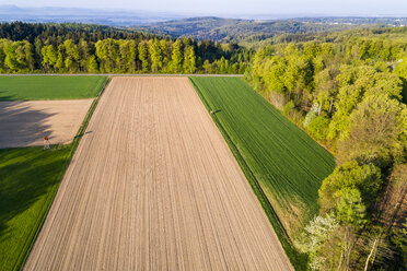 Deutschland, Baden-Württemberg, Schwäbische Alb, Nassachtal und Filstal, Luftaufnahme eines Feldes im Frühling - STS01512