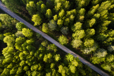 Germany, Baden-Wuerttemberg, Swabian Alb, Fils Valley, Aerial view of Schurwald in spring stock photo