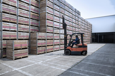 Worker on forklift and stacks of crates on factory yard - ZEF15400