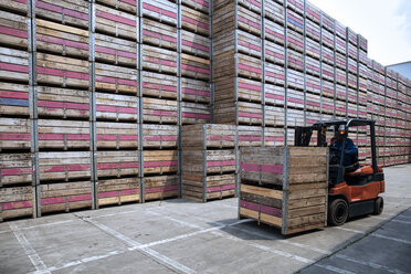 Worker on forklift moving crates on factory yard - ZEF15401
