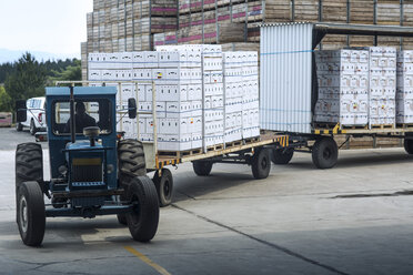 Traktor transportiert Produkte in Kisten auf dem Fabrikgelände - ZEF15412