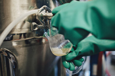 Arbeiter mit Handschuh gießt in einer Brauerei Bier aus einem Behälter in ein Glas - MASF07156