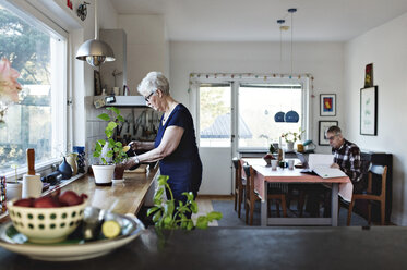 Seitenansicht einer älteren Frau, die Topfpflanzen auf dem Küchentisch zu Hause gießt - MASF07382
