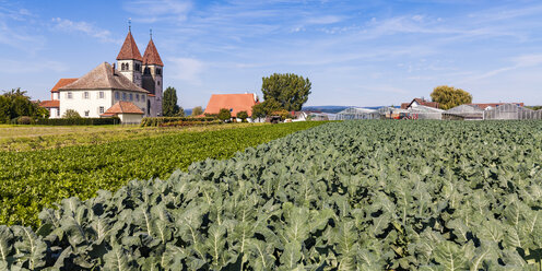 Deutschland, Insel Reichenau, Niederzell, Blick auf St. Peter und Paul - WD04636