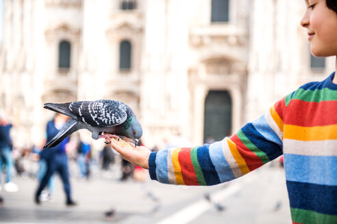 Junge füttert Taube auf der Hand auf einem Platz, Mailand, Lombardei, Italien - ISF00032