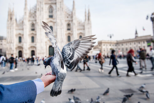 Mann füttert Taube auf der Hand auf einem Platz, persönliche Perspektive, Mailand, Lombardei, Italien - ISF00035
