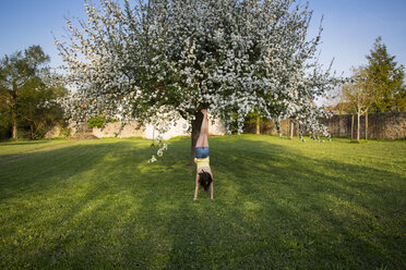 Rückenansicht eines Mädchens, das im Garten vor einem blühenden Apfelbaum einen Handstand macht - LVF06930