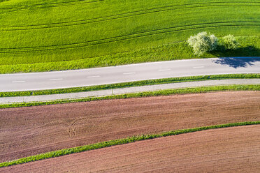 Deutschland, Baden-Württemberg, Schwäbisch-Fränkischer Wald, Rems-Murr-Kreis, gepflügtes Feld und Straße - STSF01524