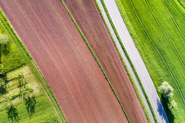 Germany, Baden-Wuerttemberg, Swabian Franconian forest, Rems-Murr-Kreis, plowed field and road - STSF01525